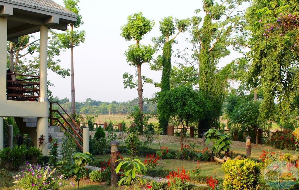 River View Jungle Camp โซราฮา ภายนอก รูปภาพ
