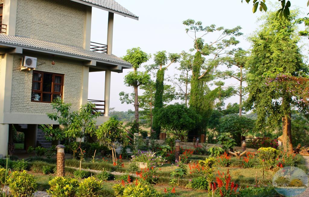 River View Jungle Camp โซราฮา ภายนอก รูปภาพ