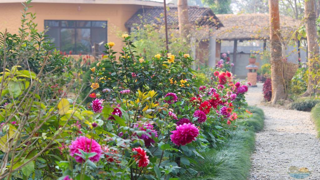 River View Jungle Camp โซราฮา ภายนอก รูปภาพ