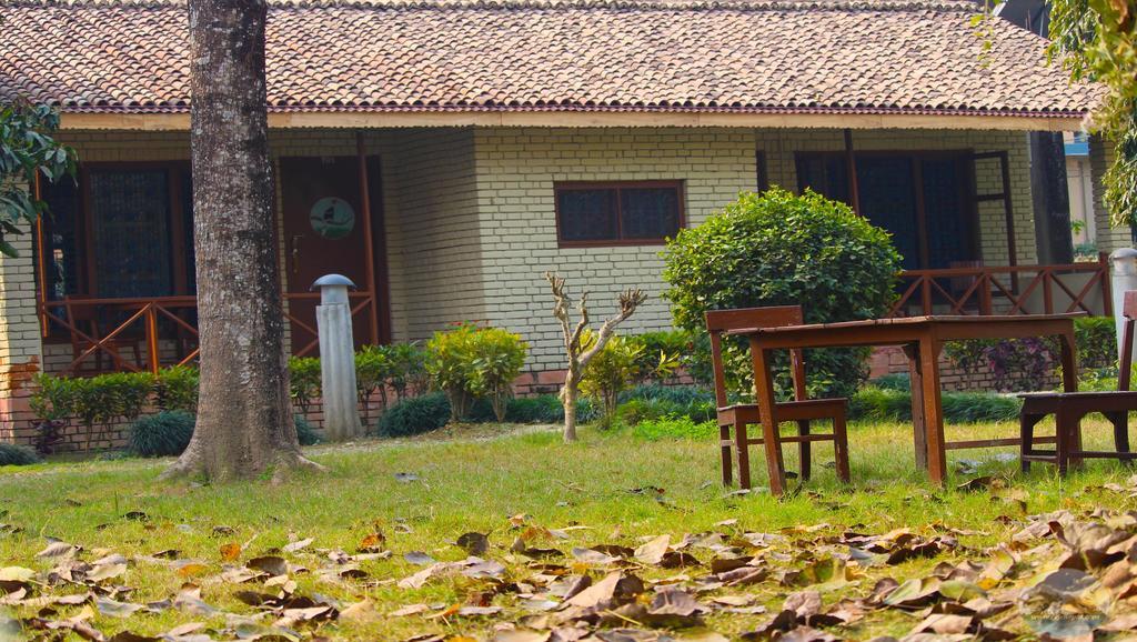River View Jungle Camp โซราฮา ภายนอก รูปภาพ