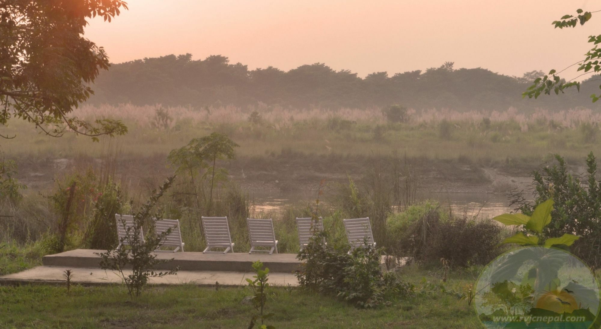River View Jungle Camp โซราฮา ภายนอก รูปภาพ