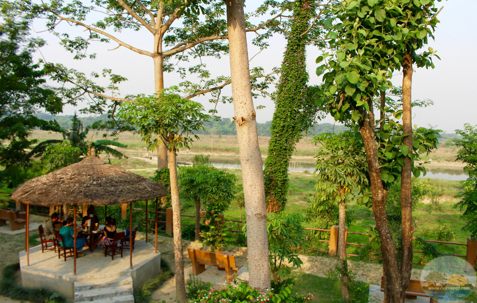 River View Jungle Camp โซราฮา ภายนอก รูปภาพ